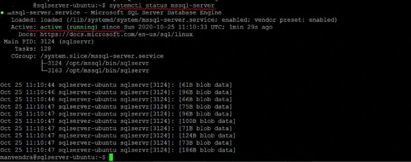 Sql Server 2019 in Linux - Stato Servizio