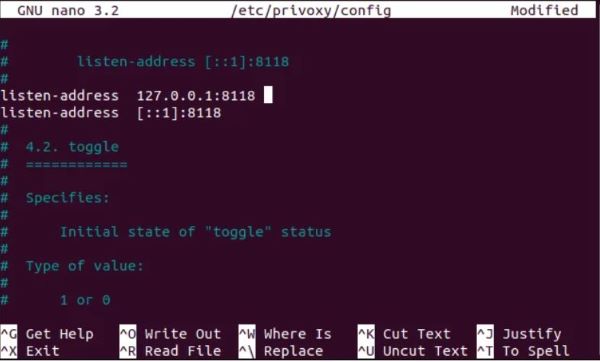 Proxy Server con Raspberry - Configurazione Privoxy
