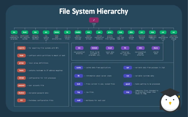 Organizzazione File System Linux