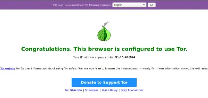 Router Tor con Raspberry - Verifica navigazione